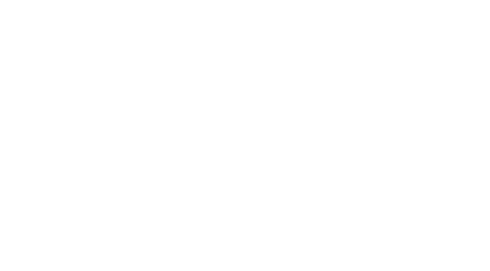 Seattle International Film Festival